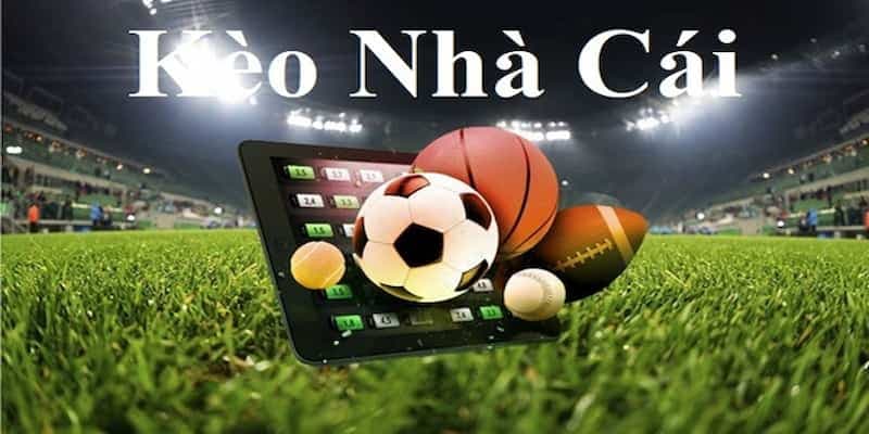 Kèo nhà cái hôm nay Kèo nhà cái hôm nay cách đọc chuẩn xác